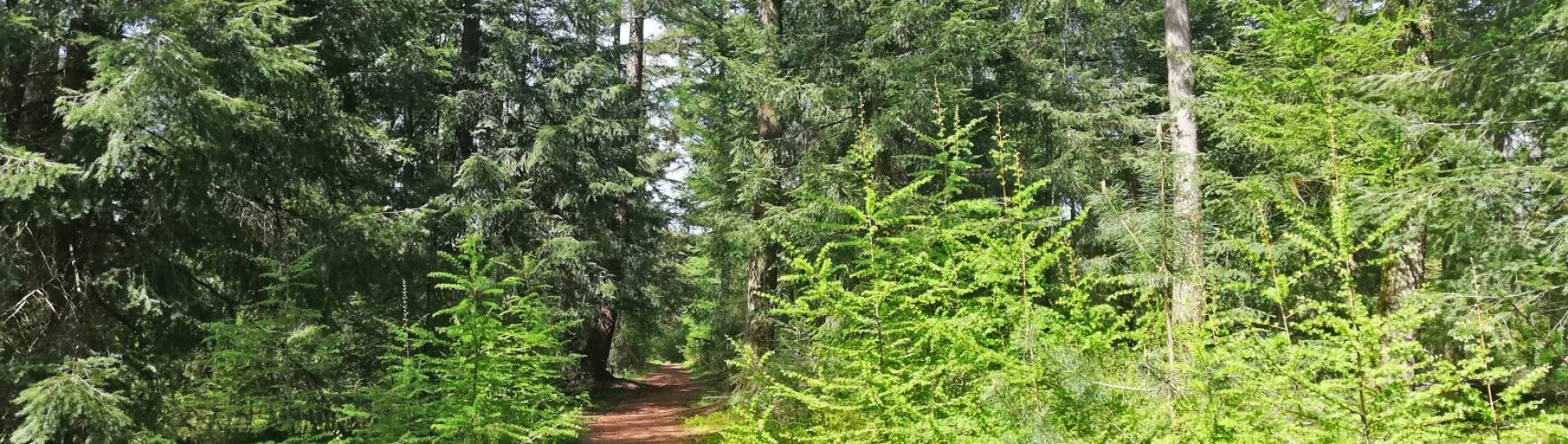 begeleiding integratie